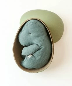 Maileg Dinosaur'gantosaurus' In Egg Toy - Small